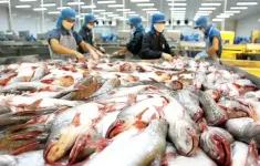 Trung Quốc trở thành thị trường xuất khẩu thủy sản lớn nhất của Việt Nam