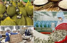 Bảo đảm sản xuất, tiêu thụ, xuất khẩu nông, lâm, thủy sản