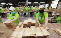 Nghị quyết 68: "Cởi trói", tạo đà cho kinh tế tư nhân bứt phá