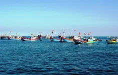 Bộ Nông nghiệp và Môi trường: Trung Quốc đơn phương cấm đánh bắt cá trên Biển Đông là không có giá trị