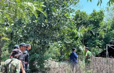 Đắk Nông: Nghi bị điện giật, 2 người tử vong