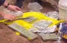 Bắt giữ thêm 3 đối tượng, thu 13 bánh heroin trong chuyên án ma túy liên tỉnh