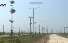 Dự án giao thông kéo dài hơn 7 năm
