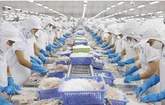 Giữ đà tăng trưởng xuất khẩu thủy sản