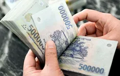 Hướng dẫn mới nhất về lao động, tiền lương, tiền thưởng