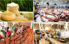 Bảo đảm sản xuất, tiêu thụ, xuất khẩu nông lâm thủy sản trong bối cảnh biến động thương mại toàn cầu