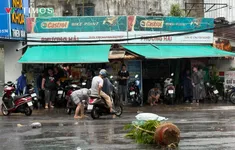 Xe chết máy la liệt, người dân vật lộn trong cơn mưa lớn ở TP Hồ Chí Minh