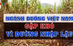 Ngành đường Việt Nam gặp khó vì đường nhập lậu