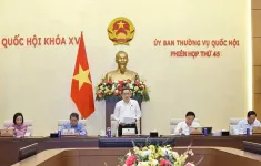 Xem xét nhiều nội dung quan trọng trước khi trình Quốc hội
