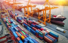 Thúc đẩy thương mại nông lâm thuỷ sản với Hoa Kỳ