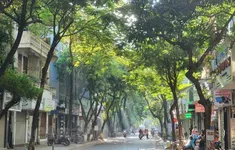 Bắc Bộ và Bắc Trung Bộ ngày nắng, đêm có mưa vài nơi
