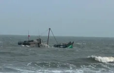 Bình Định: Một ngư dân mất tích do chìm tàu cá