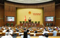 Đề nghị rút ngắn 3 tháng nhiệm kỳ Quốc hội khoá XV và Hội đồng nhân dân các cấp