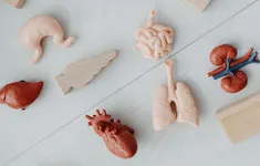 In 3D ngay trong cơ thể bằng sóng siêu âm