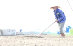 Nghề làm muối Thụy Hải trở thành Di sản văn hóa phi vật thể quốc gia