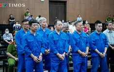 Chủ tịch Công ty Thái Dương: 'Không nhờ vả, chi vật chất để xin giấy phép'