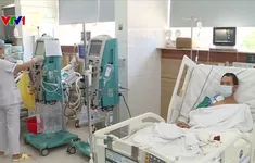 Nhiều người nguy kịch vì sơ cứu sai khi bị rắn cắn