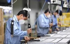Đề xuất miễn, giảm thuế cho doanh nghiệp sử dụng công chức thôi việc