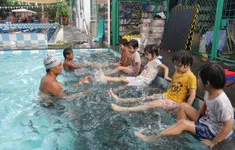 TP Hồ Chí Minh dạy bơi miễn phí cho người dân