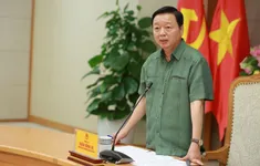 Nuôi, trồng dược liệu dưới tán rừng phải gắn chặt với “giữ dân, giữ rừng”