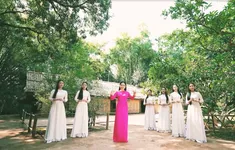 Câu chuyện từ những bài ca - “Người về thăm quê”: Ký ức thiêng liêng về Bác
