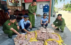 Phát hiện, thu giữ 500kg chân gà, đuôi lợn không rõ nguồn gốc