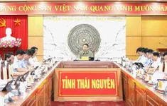 Thái Nguyên: Xem xét kế hoạch duyệt và tổ chức Đại hội các chi bộ, đảng bộ cơ sở