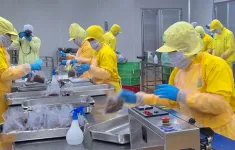 Đẩy mạnh các chính sách hỗ trợ cho khu vực kinh tế tư nhân