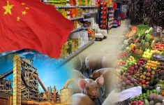 Nông sản Việt rộng đường chính ngạch vào Trung Quốc