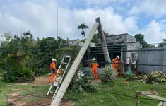 Mưa lớn khiến hàng loạt trụ điện bị gãy đổ ở Gia Lai