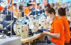 Doanh nghiệp làm gì để vượt qua "cú sốc" thuế quan?
