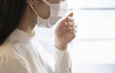 Số ca ho gà tăng mạnh ở Nhật Bản