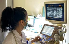 Giun rồng tái xuất: Nhận diện sớm để tránh biến chứng