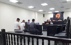 Đối tượng buôn lậu động vật hoang dã xuyên quốc gia nhận án phạt 7 năm tù