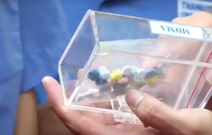 TP Hồ Chí Minh sẽ nhân rộng các mô hình phòng, chống ma túy hiệu quả