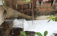 Đồng Nai: Suối Bà Lúa sủi bọt trắng, nghi xả thải công nghiệp