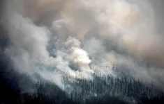Nga: Cháy rừng nghiêm trọng ở Siberia, trên 600.000 ha bị thiêu rụi