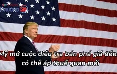Tăng cảnh báo sớm: Lá chắn bảo vệ hàng xuất khẩu