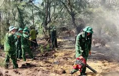 Kịp thời dập tắt đám cháy rừng phòng hộ ở Bình Định