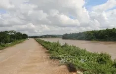 Hà Nội tập trung bảo vệ 5 điểm đê xung yếu cấp thành phố