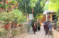 Nhiều hộ dân chưa đồng thuận giao mặt bằng dự án tu bổ di tích gò Đống Thây