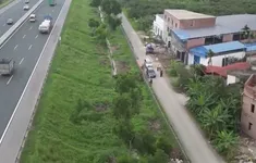 Đổ xô trồng sưa, xây nhà… “chờ” đền bù dự án