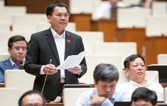 Cần dựng hàng rào chống "nạn xâm lăng" của hàng nhập khẩu kém chất lượng