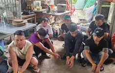 Xoá tụ điểm đá gà liên tỉnh ở Đà Nẵng