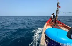 Vụ chìm tàu kéo ở Quảng Ngãi: Nhiều lần đôn đốc chủ tàu vẫn “chây ỳ” không trục vớt phương tiện bị chìm