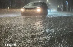 Thời tiết đêm 17/5: Khu vực Phía Tây Bắc Bộ có mưa to và dông, cục bộ có nơi mưa rất to