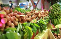 Gỡ điểm nghẽn, tìm hướng đi mới cho xuất khẩu rau quả