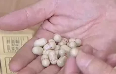 Tăng cường kỷ luật công vụ, siết chặt kiểm soát hàng giả trong lĩnh vực y tế