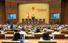 Ngày 19/5, Quốc hội thảo luận về dự án Luật sửa đổi, bổ sung một số điều của Luật Tổ chức Tòa án nhân dân