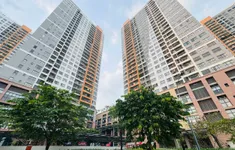 TP Hồ Chí Minh: Nhập nhằng nghĩa vụ thuế tại chung cư